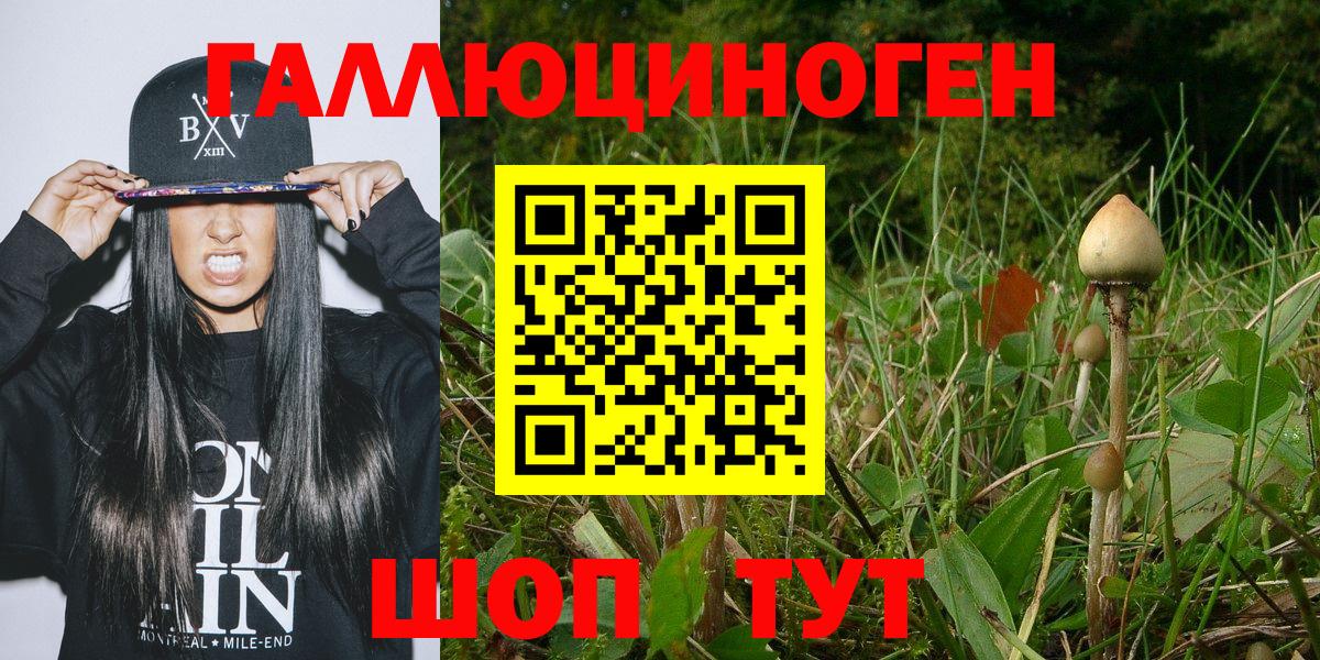 Заволжье  Псилоцибиновые грибы GOLDEN TEACHER  закладки  Вход с VPN 